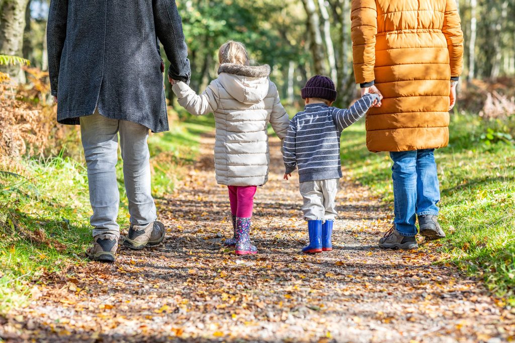 Rear View Of A Family Walking Holding Hands In The Wood Mother