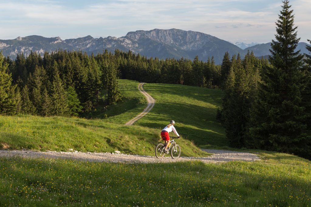 Bikerin Am Zwiesel